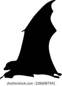 bat silhouette, vector, illustration, background