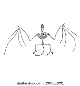 Bat skeleton drawing. Gothic illustration of aggressive monsters bones for the Halloween. Witchcraft magic, occult attributes decorative elements. Drawing of dead night creature with fangs. Vector.