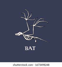 Bat skeleton drawing with inscription. Hand drawn vector illustration of bat bones. Halloween and Samhain concept