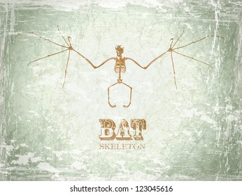 Bat Skeleton Vintage Background