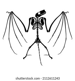 Bat Skeleton With Wings, Bat Skeleton Cut File, Bat Skeleton Bones, Bat Parts Kit