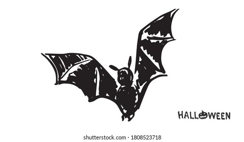 Bat sketch. Hand drawn illustration. 