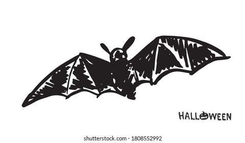 Bat sketch. Hand drawn illustration. 