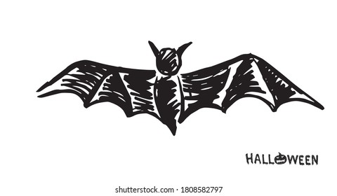 Bat sketch. Hand drawn illustration. 