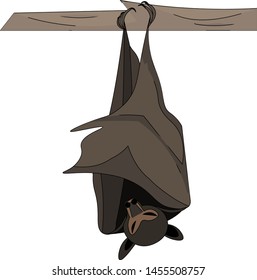 Bat Sleeping On A Branch, Illustration, Vector On White Background.