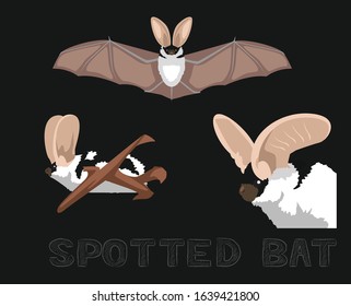 Bat Spotted Species Cartoon Illustration