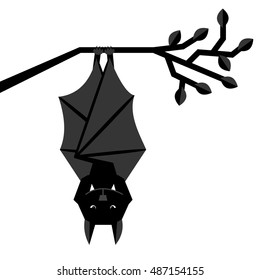 Bat with turned wings is hanging on branch 