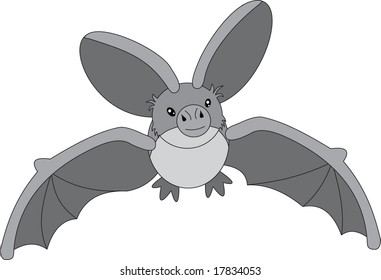bat, vector