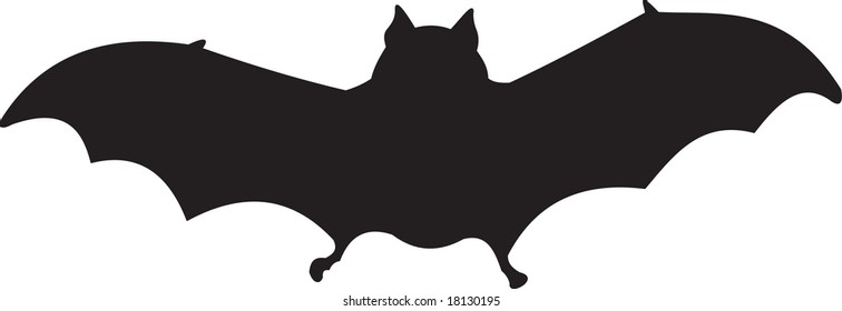 bat vector
