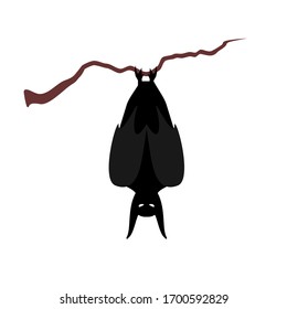 bat vector design isolated white 