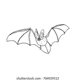 Bat vector illustration. Doodle style. Design icon, print, logo, poster, symbol, decor, textile, paper, card. 