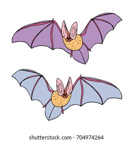 Bat vector illustration. Doodle style. Design icon, print, logo, poster, symbol, decor, textile, paper, card. 