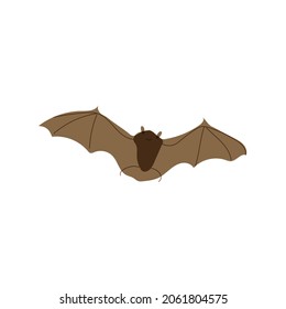 Ilustración vectorial de murciélago. murciélago de halloween.