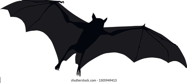 Bat, vector image. Flying vampire Halloween festive character