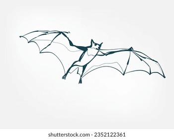 bat vector line art animal wild life single one line hand drawn illustration isolated