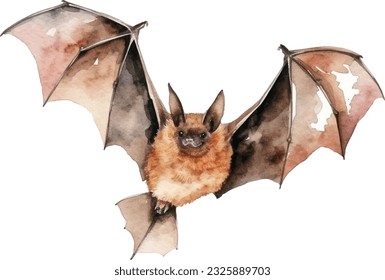 Bat Watercolor illustration. Hand drawn underwater element design. Artistic vector marine design element. Illustration for greeting cards, printing and other design projects.