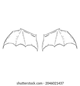 Bat wings. Vector illustration. Isolated objects on white. Hand-drawn style. Occult elements.