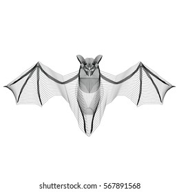 A  bat  x-ray stylize  illustration on a white background