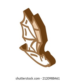 bat zoo animal isometric icon vector. bat zoo animal sign. isolated symbol illustration