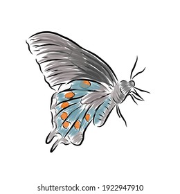 batam, Indonesia. Feb 23rd, 2021. Vector illustration of a butterfly with muted colors