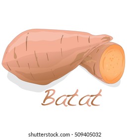 Batat, vector de batata aislado sobre fondo blanco