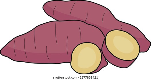 Batata Doce Hand Draw Vector Art