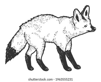 Bat-eared fox, African animal. Sketch scratch board imitation. Black and white.