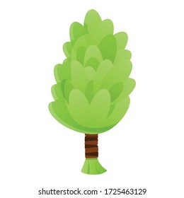 Bath green broom icon. Cartoon of bath green broom vector icon for web design isolated on white background