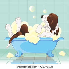 Bathing dog