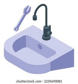 Bathroom repair icon isometric vector. Cleaning service. Staff steam