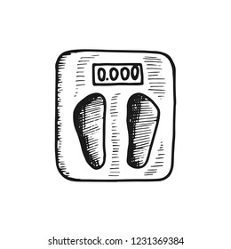 bathroom scales for weighing vector icon. sketch isolated