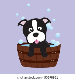 bath-time terrier pup