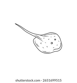 Batomorphi, Batoid drawing in black isolated on white background, Hand drawn vector sketch illustration in doodle engraved vintage line art style. Sea animal, wild underwater fish