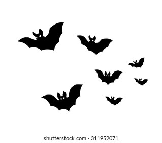 bats