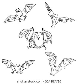 Bats in different positions. Pencil sketch by hand