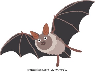 Bats fly in the dark without relying on sight and are so sensitive that the human ear can hardly hear them. Often associated with vampires.