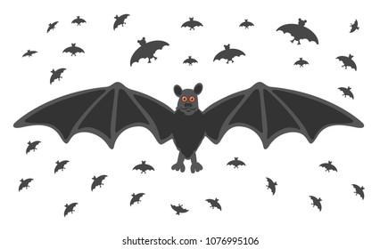 
bats fly at night