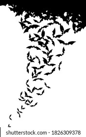 Bats al vuelo. Silhouettes sobre fondo blanco