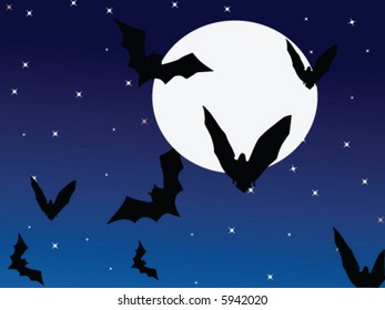 Bats flying at night