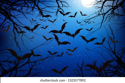 Bats in the forest in the night