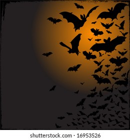 Bats and a full Halloween Moon