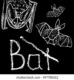 Bats. Hand drawn white silhouettes on black background