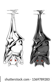 bats hanging down