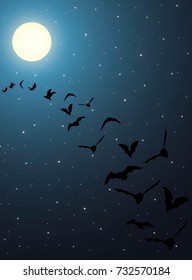 Bats in the moonlight