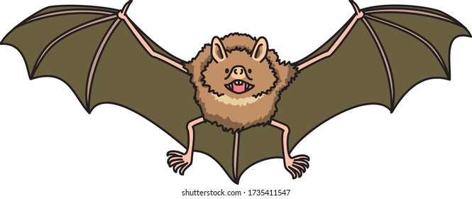 Bats are nocturnal animals that live in caves.