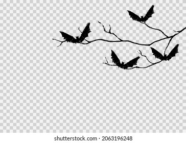Bats perched on  branch hand drawn brush stroke style isolated  on png or transparent  background, Halloween  party, element template for poster,brochures,vector illustration 