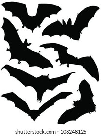 Bats silhouette 2-vector