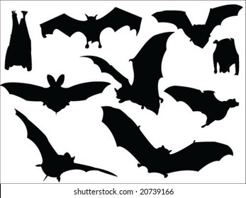 bats silhouette collection vector
