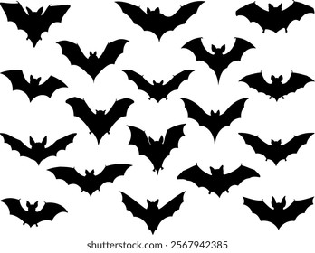 Bats silhouette on white background