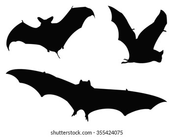 Bats silhouette, vector illustration